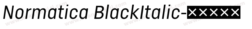Normatica BlackItalic字体转换